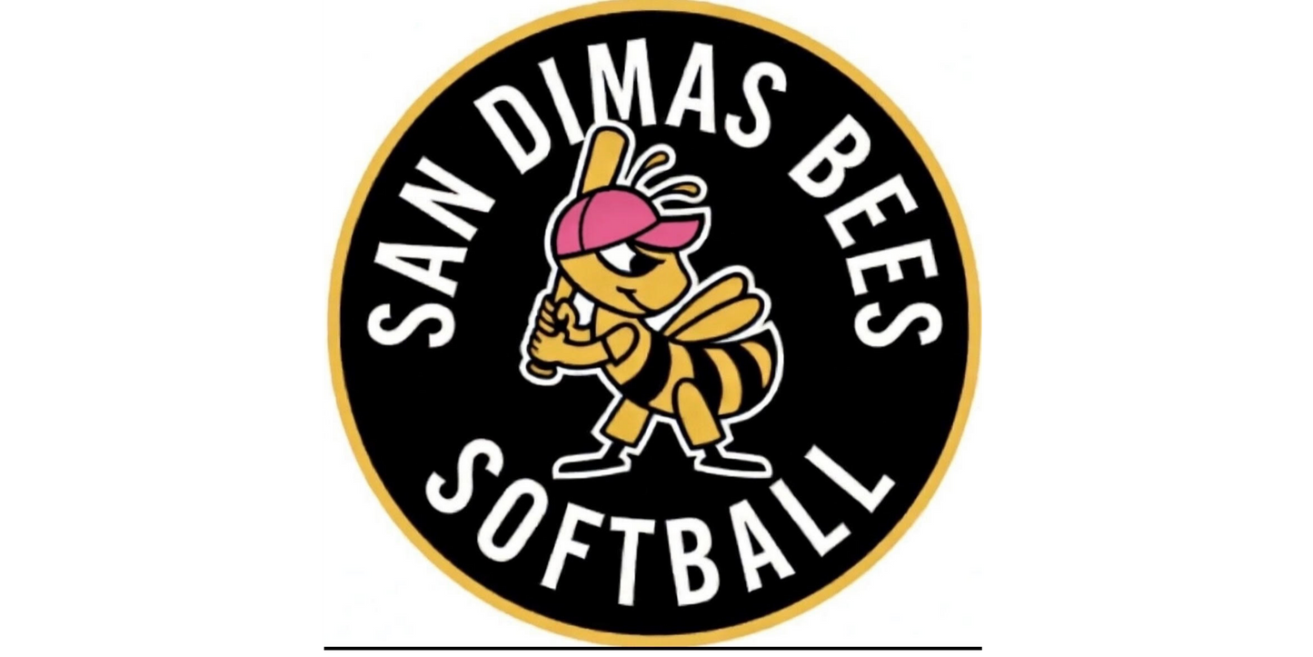SD Bees Donations